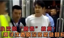 小沈阳老婆被人爆料视频,真相与争议